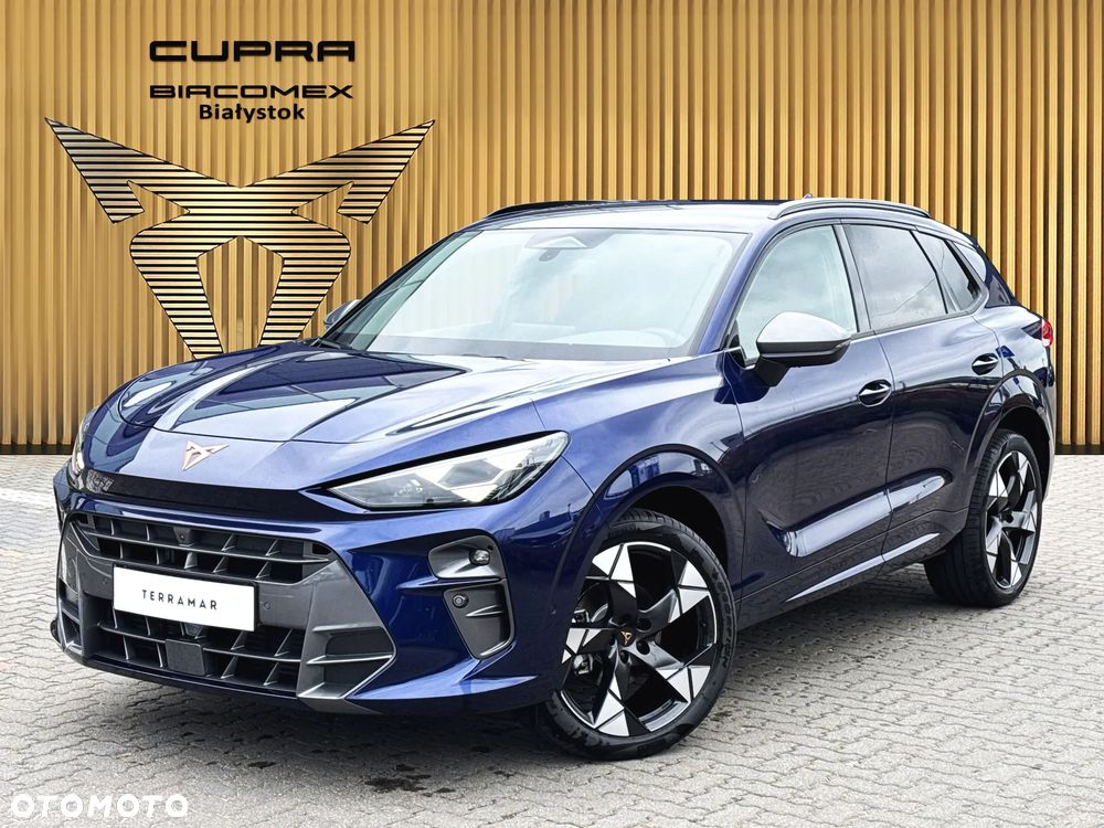 Cupra Terramar 1.5 eTSI mHEV Advantage Edition DSG - 2