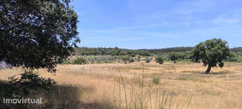 Terreno com 3.9 Hectares em Cunheira (Alter do Chão) - Grande imagem: 5/8