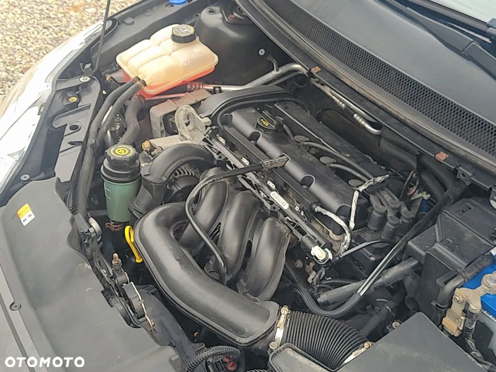 Ford Focus - 31