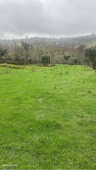 Tereno para Alugar para por Casa Modelar - Grande imagem: 4/4