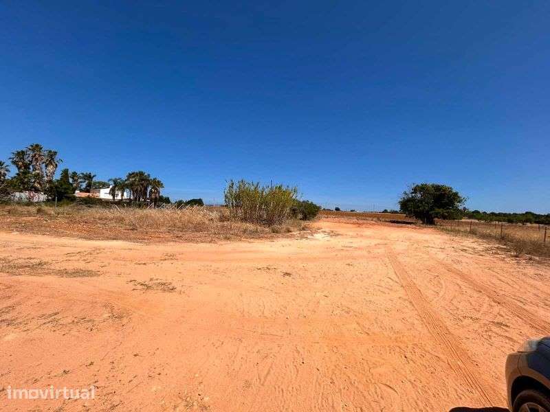 terreno com 11.620 m² em Lagoa - Grande imagem: 3/4