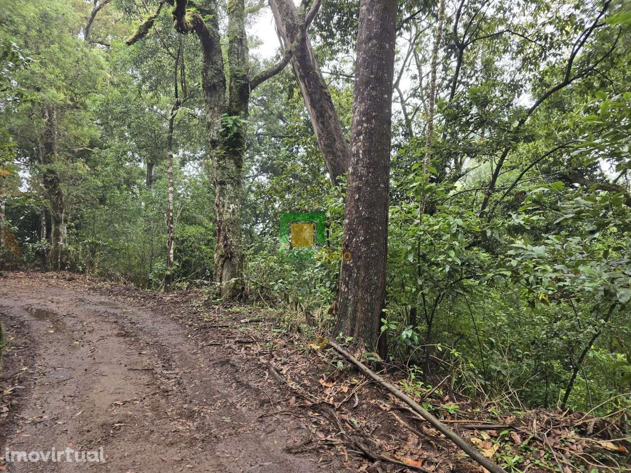 Santana - Grande imagem: 2/5