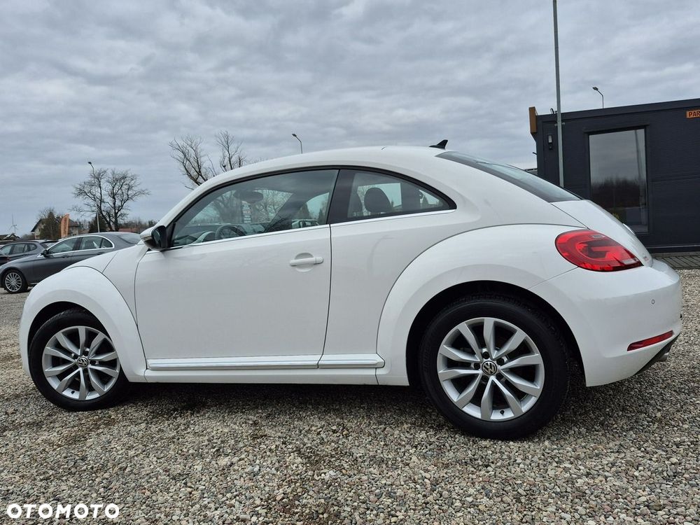 Volkswagen Beetle - 23