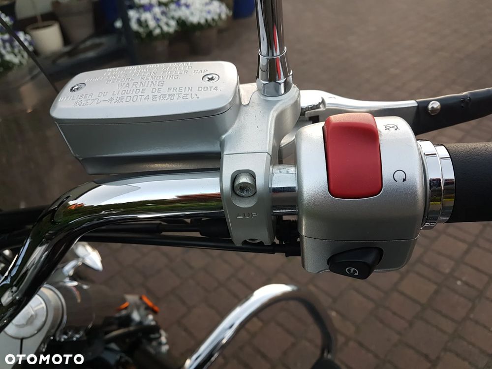 Suzuki VL 800 Volusia - Boulevard C50 - 15