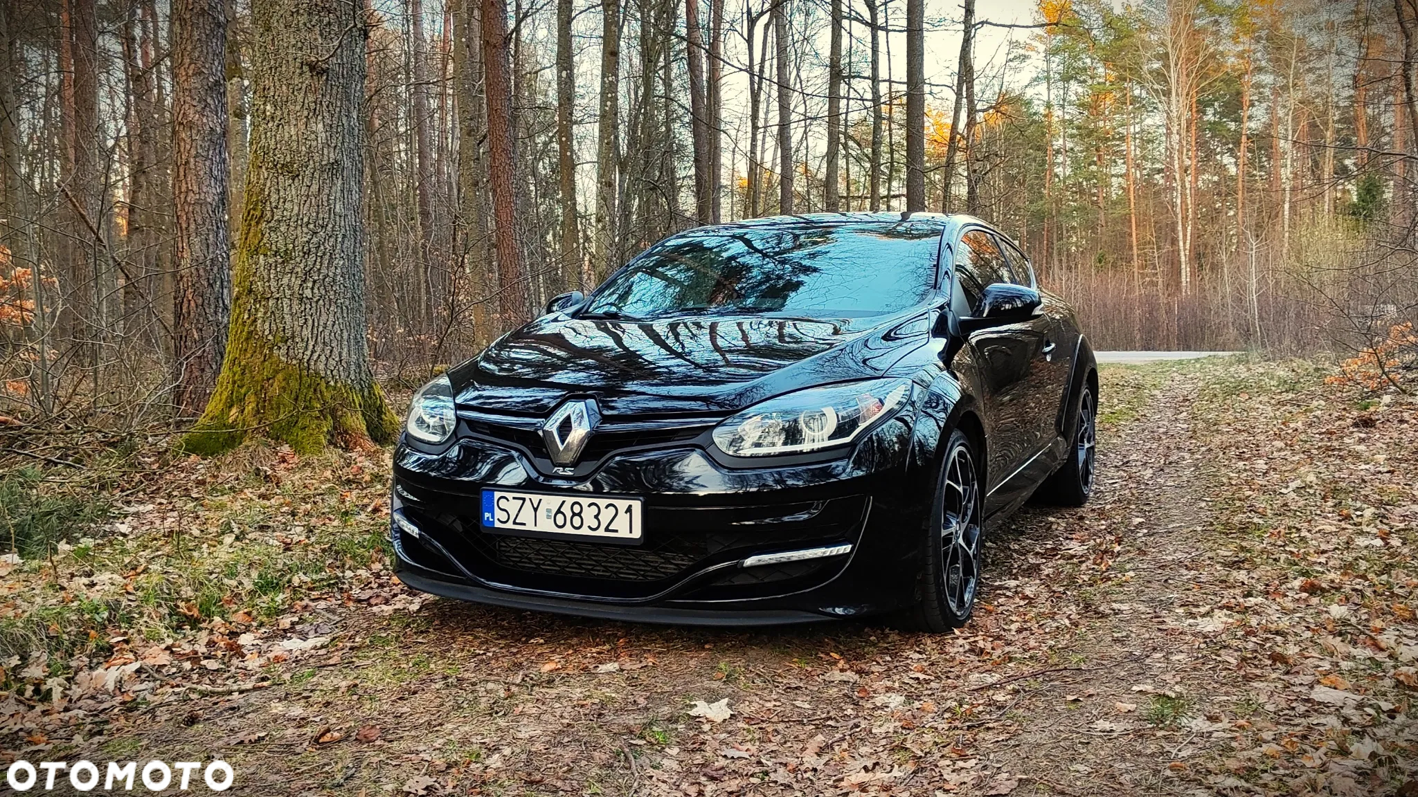 Renault Megane R.S EU6 - 2