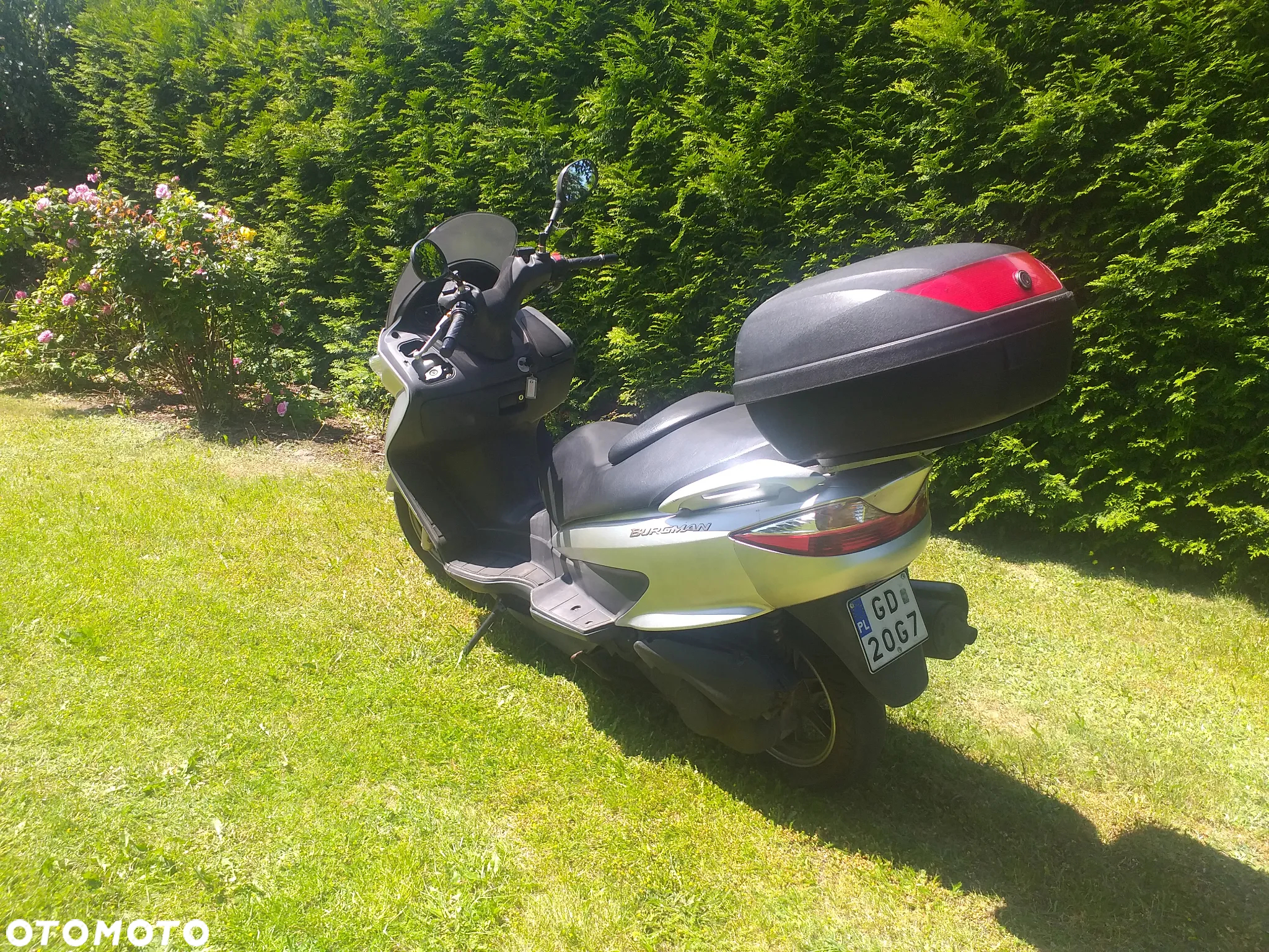 Suzuki Burgman - 4