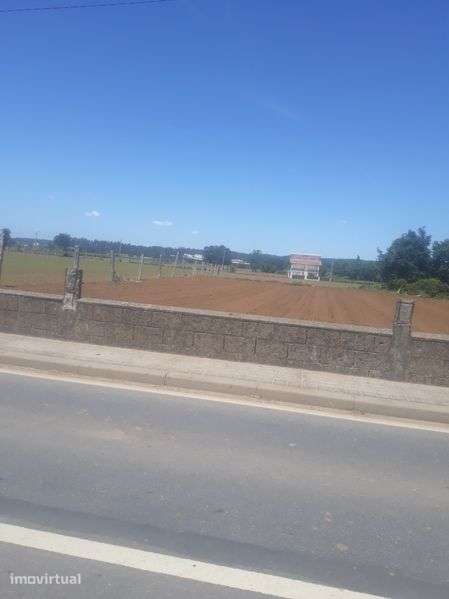 Aluga-se terreno trofa - Grande imagem: 4/5