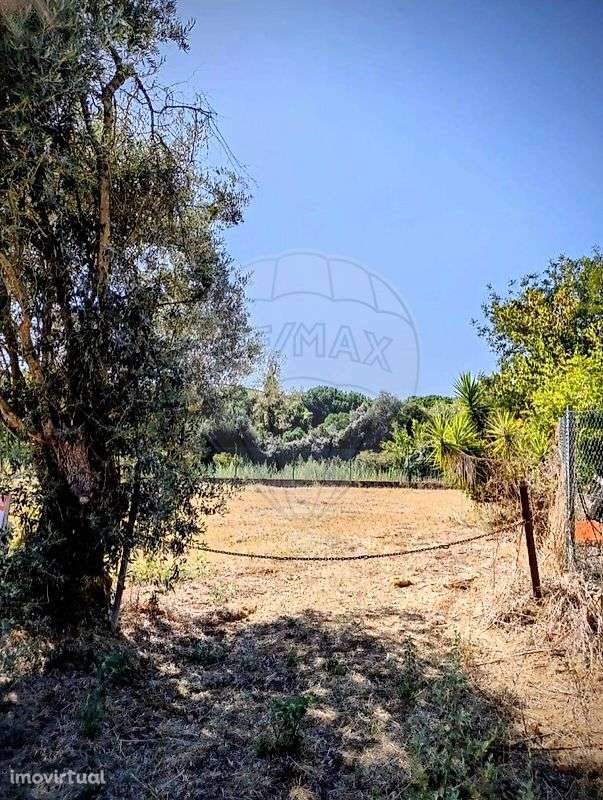 Terreno  para venda - Grande imagem: 3/3