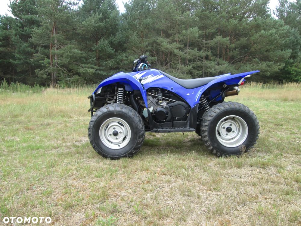 Yamaha Wolverine - 3