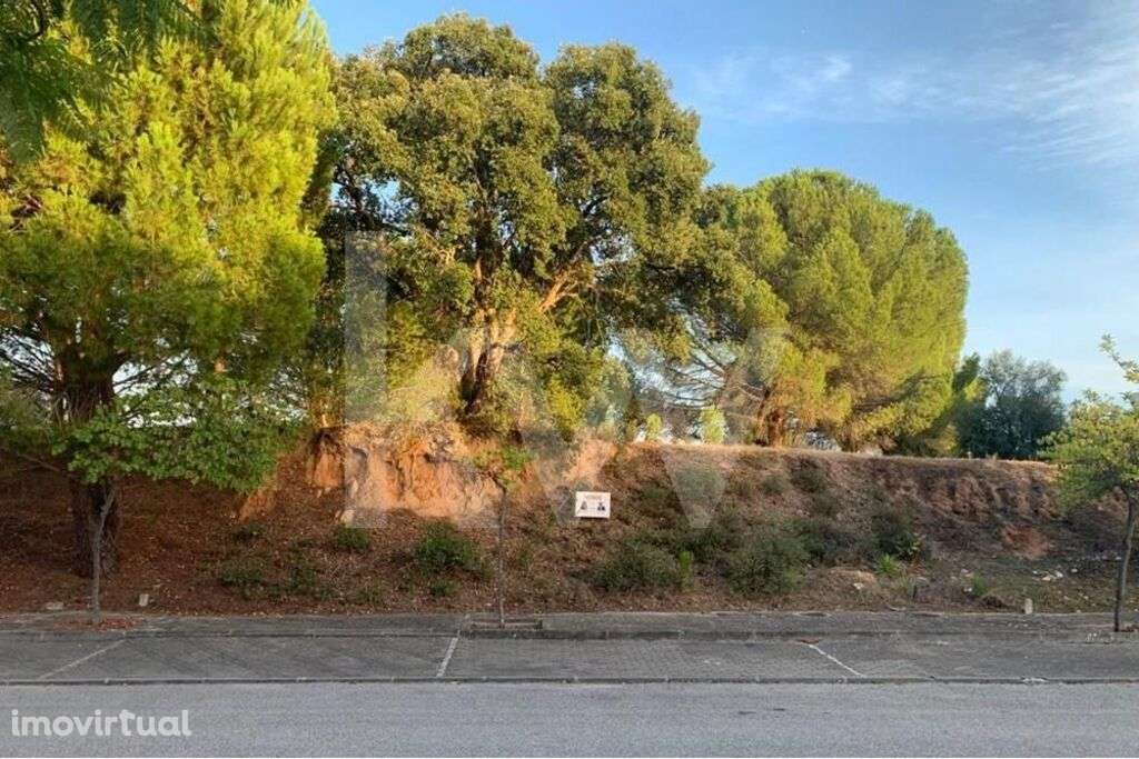 Vende-se Terreno Urbano no Entroncamento - Grande imagem: 2/32