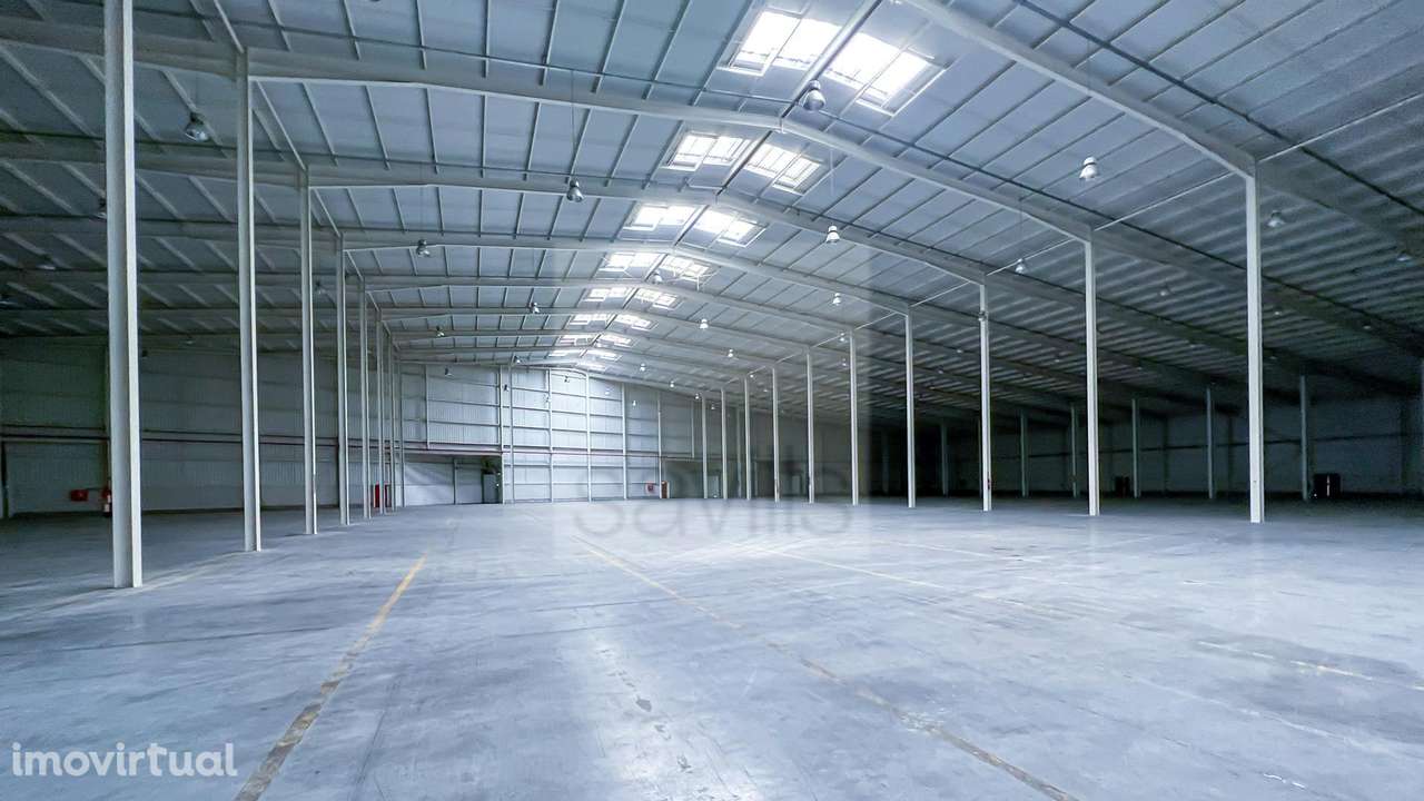 Armazéns de Leiria (Pousos) - Grande imagem: 3/19