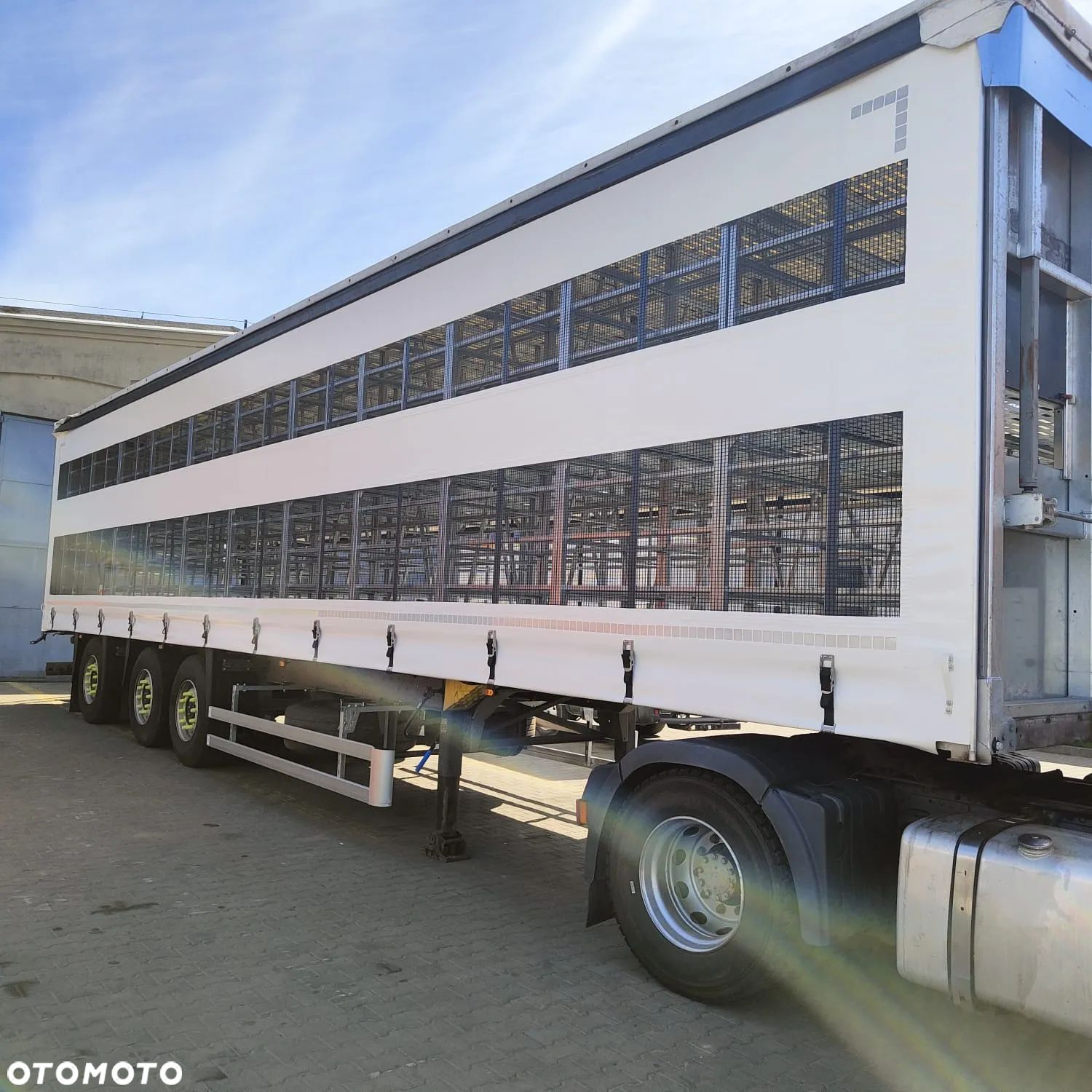 Schmitz Cargobull - 1