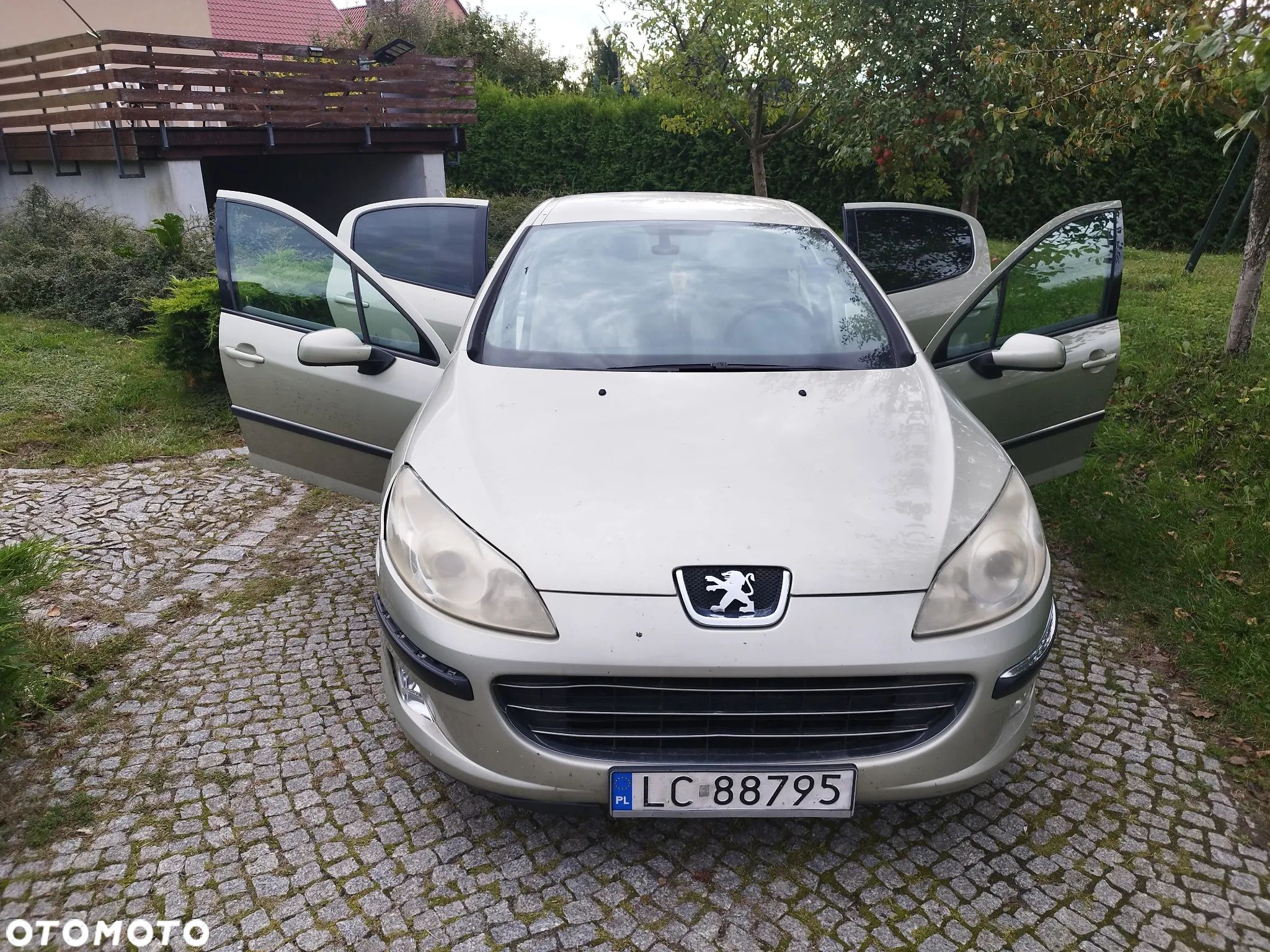 Peugeot 407 - 1