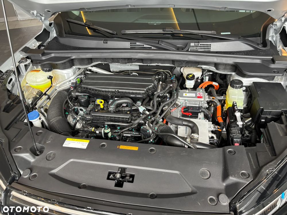 Dongfeng Mage - 41