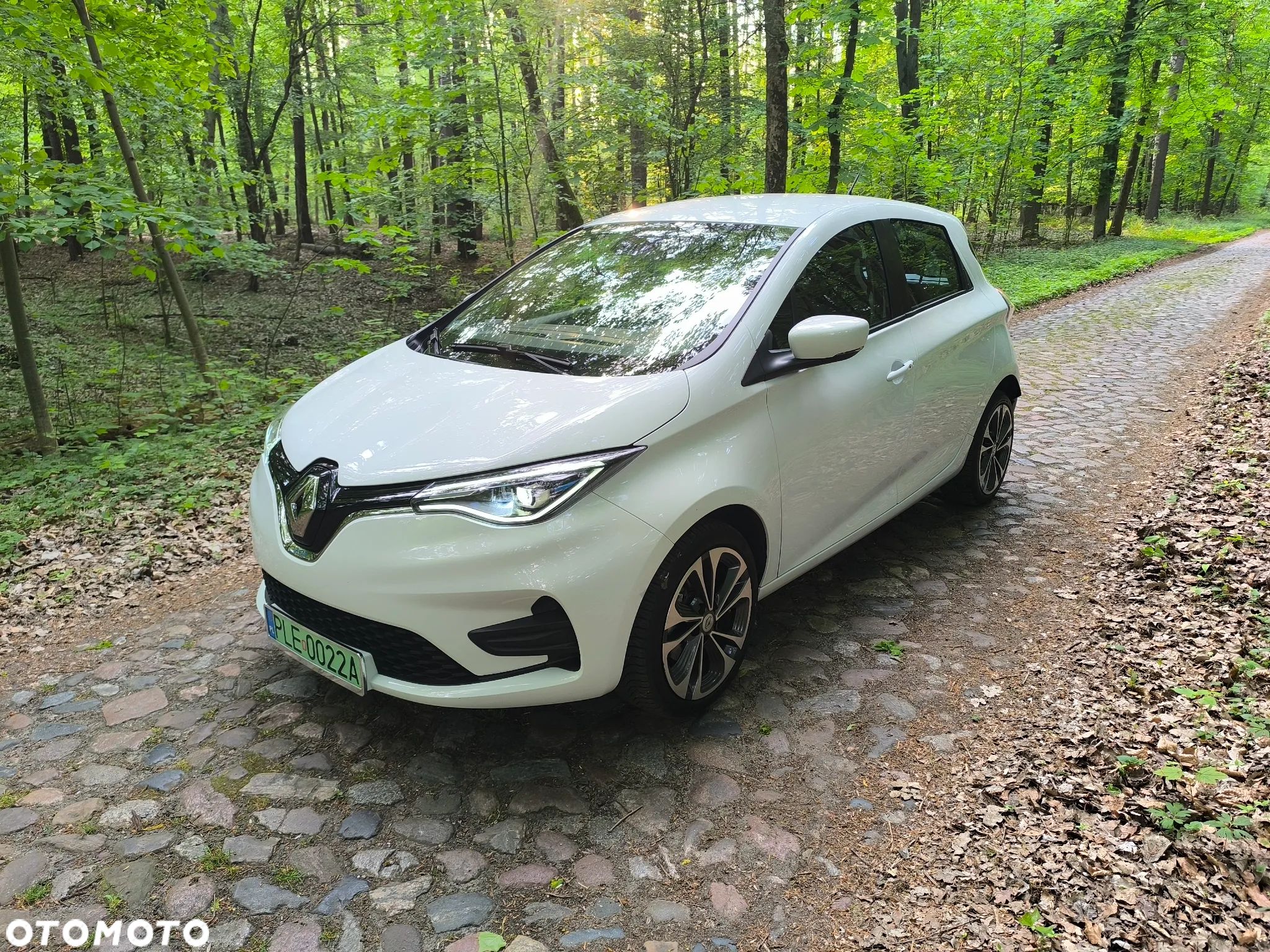 Renault Zoe R110 Z.E 50 Zen - 1