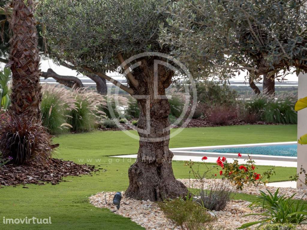 QUINTA DE FARO - Grande imagem: 3/21