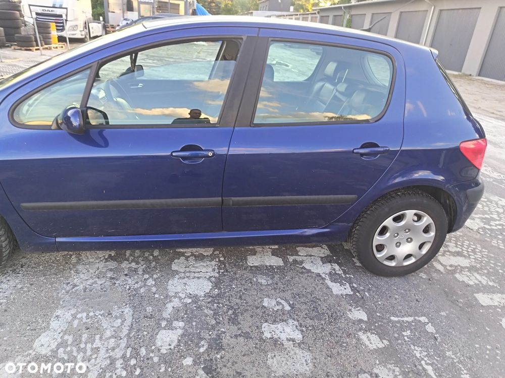Peugeot 307 1.6 Mistral - 2