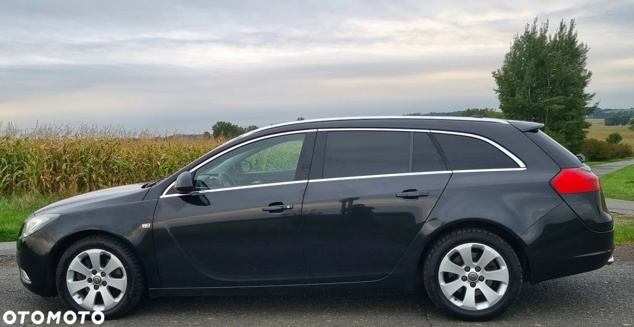 Opel Insignia 2.0 CDTI Cosmo S&S - 7