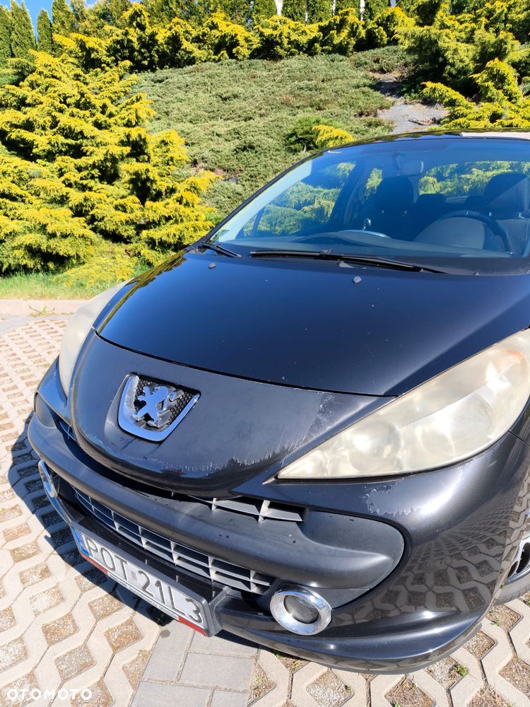 Peugeot 207 - 6