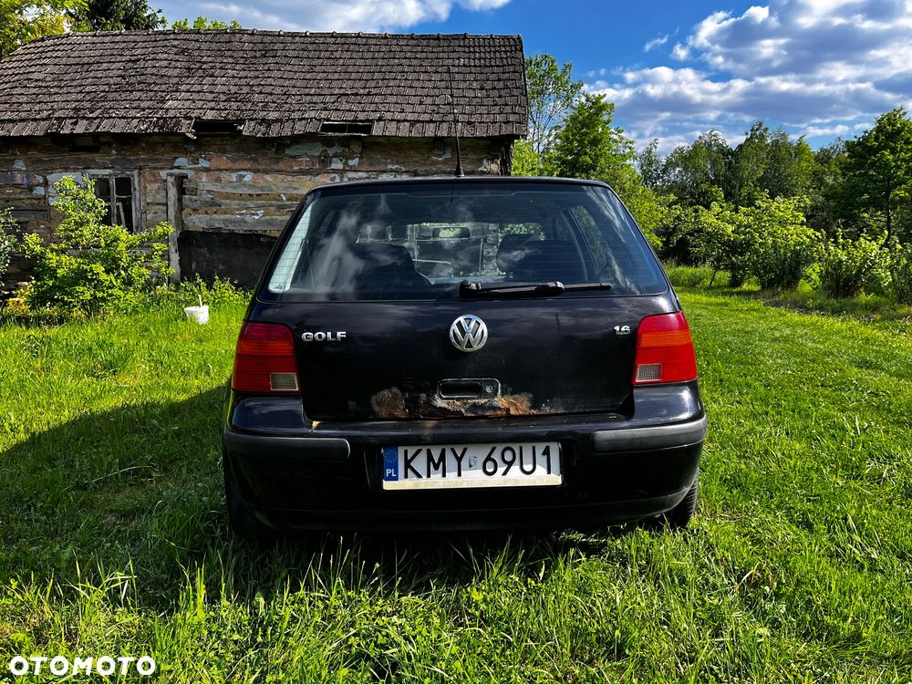 Volkswagen Golf - 7
