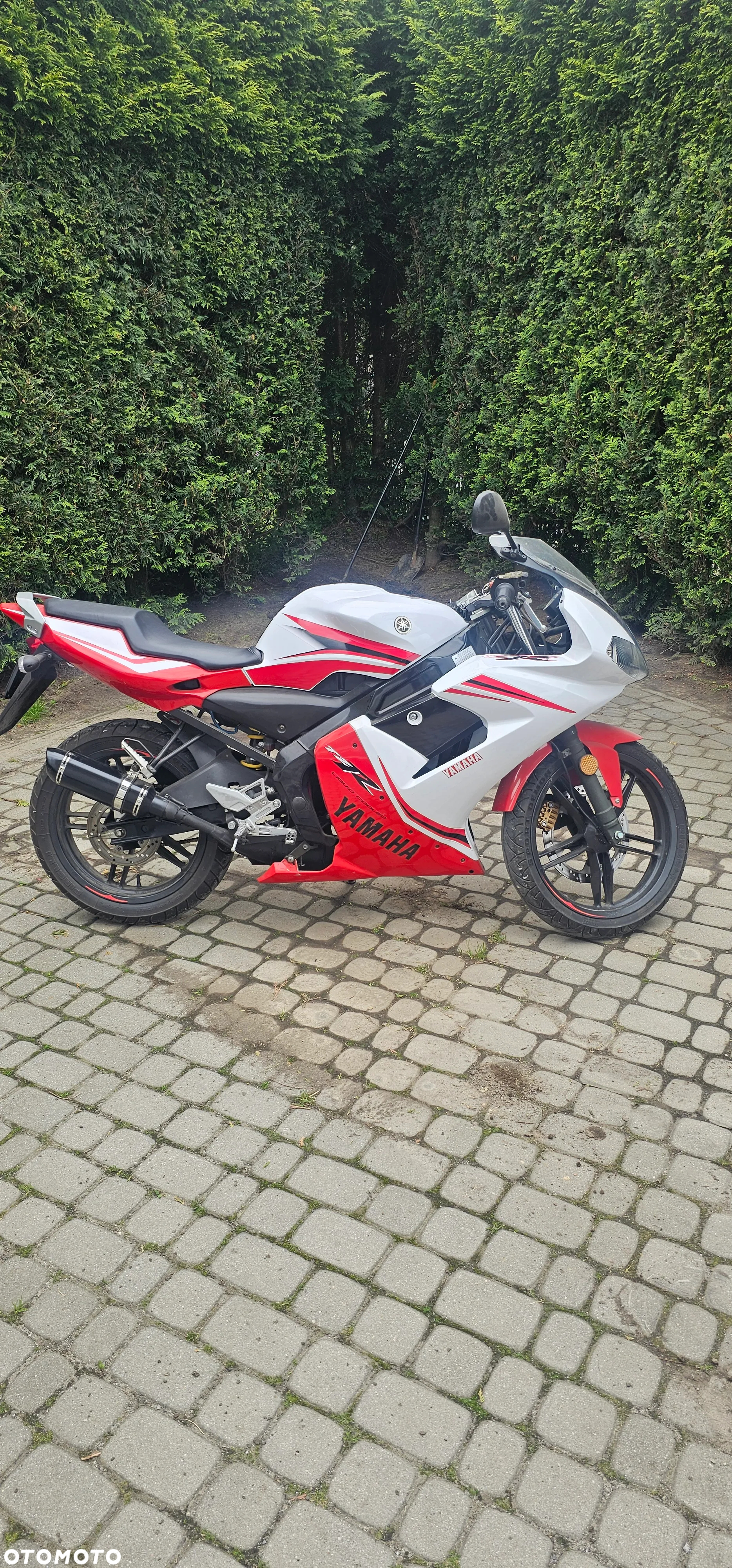 Yamaha TZR - 2