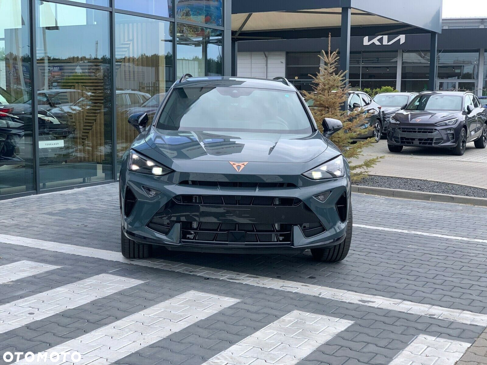 Cupra Formentor 1.5 eTSI mHEV DSG - 3