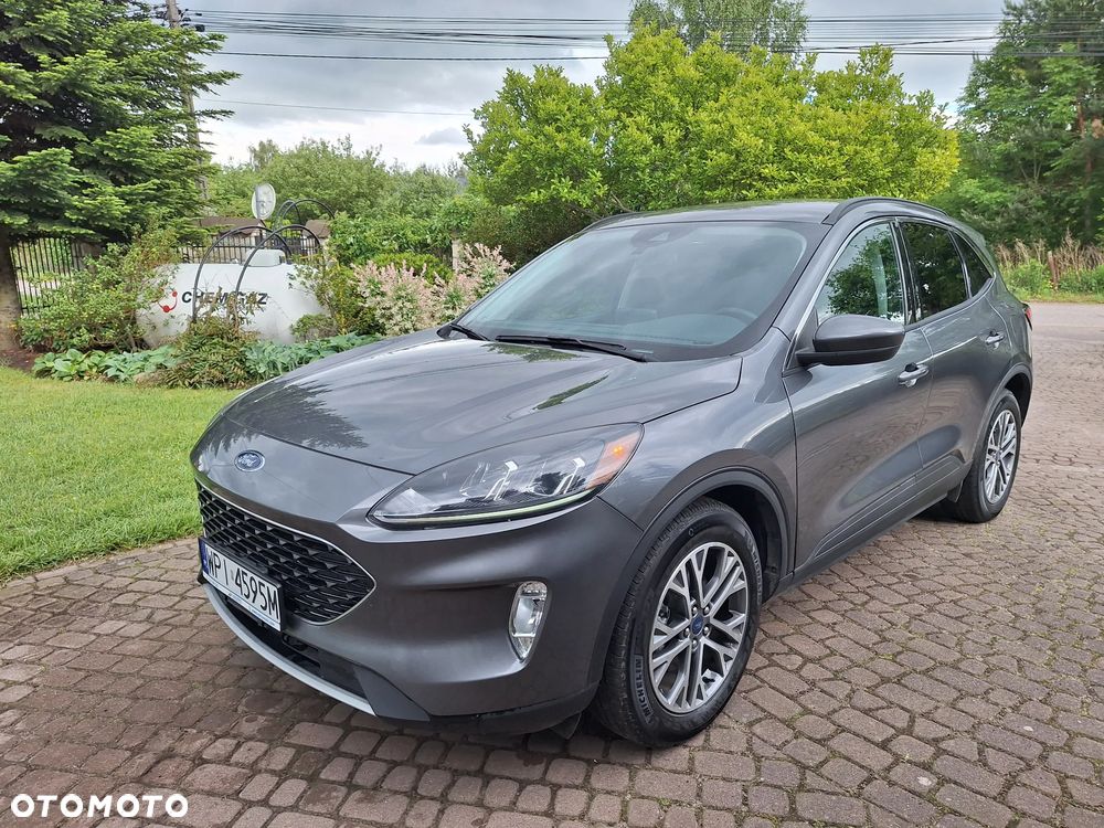 Ford Escape - 1