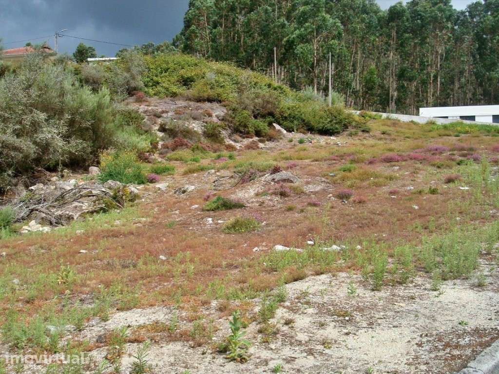 Terreno com 5.286 m² em Meixomil - Habitação ou Industria - Grande imagem: 5/8
