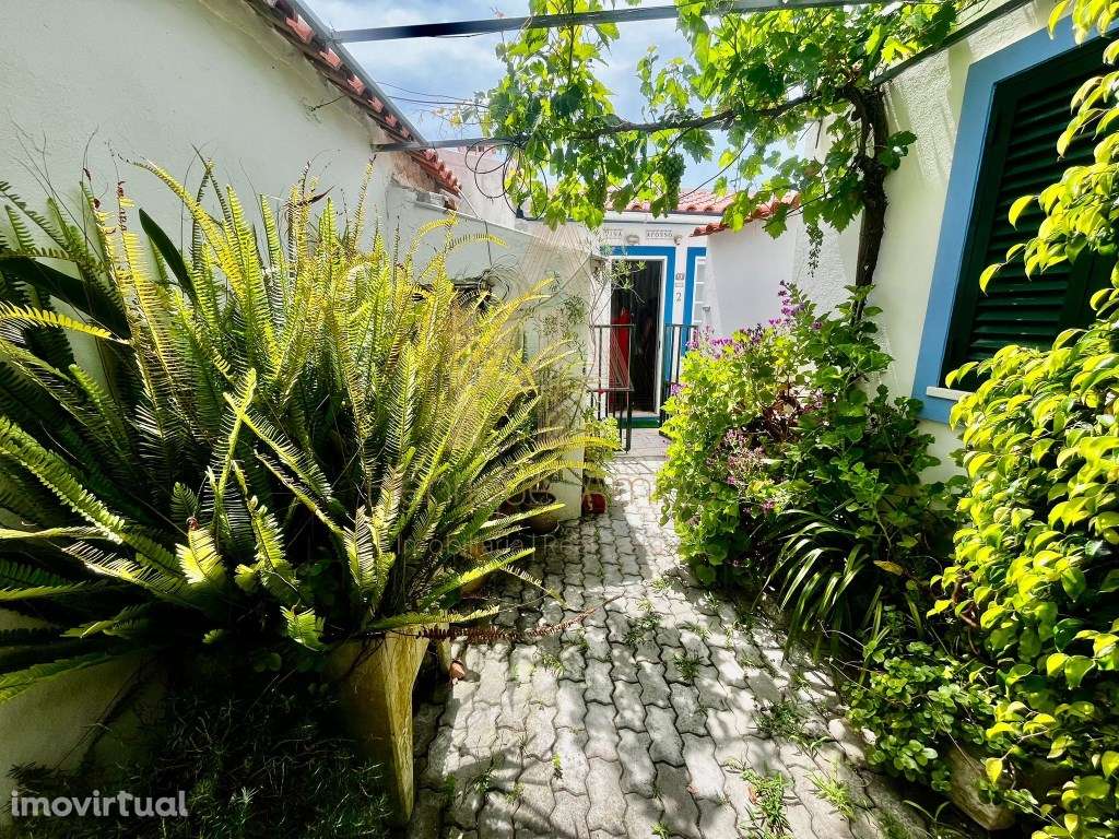 Oportunidade Única em Sesimbra (Cotovia) - T1 com Anexo, Quintal Es... - Grande imagem: 4/26