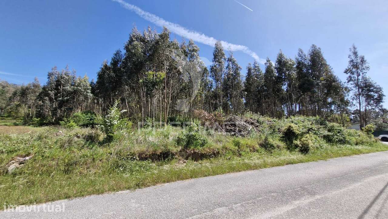 Terreno com excelente potencial a poucos minutos da praia - Grande imagem: 2/13