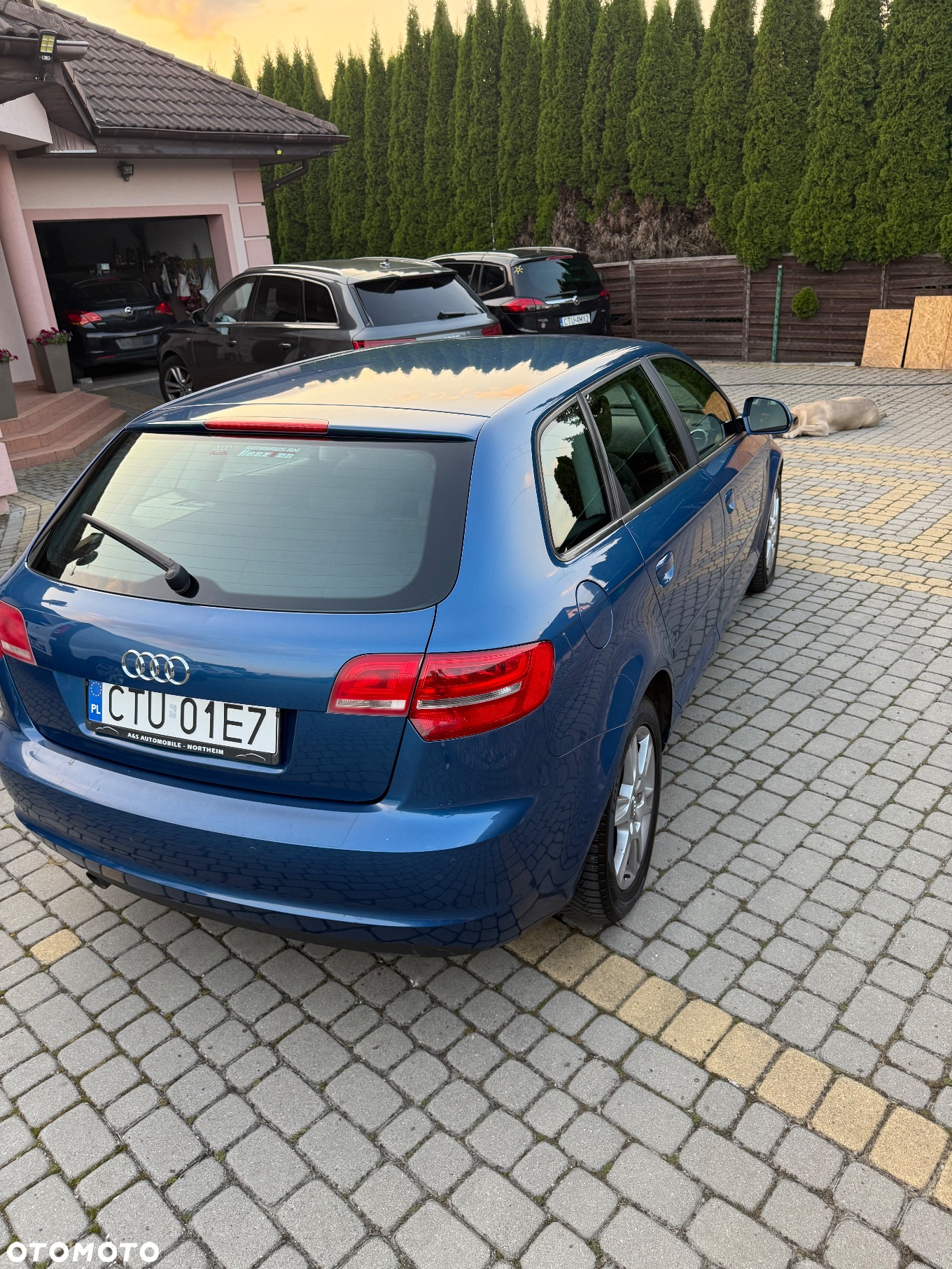 Audi A3 1.6 TDI 99g DPF - 2