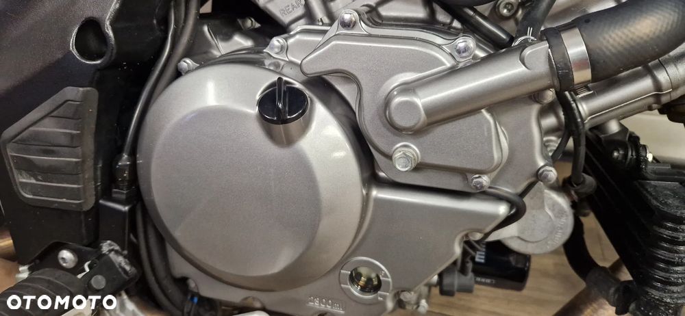 Suzuki V-STROM - 10