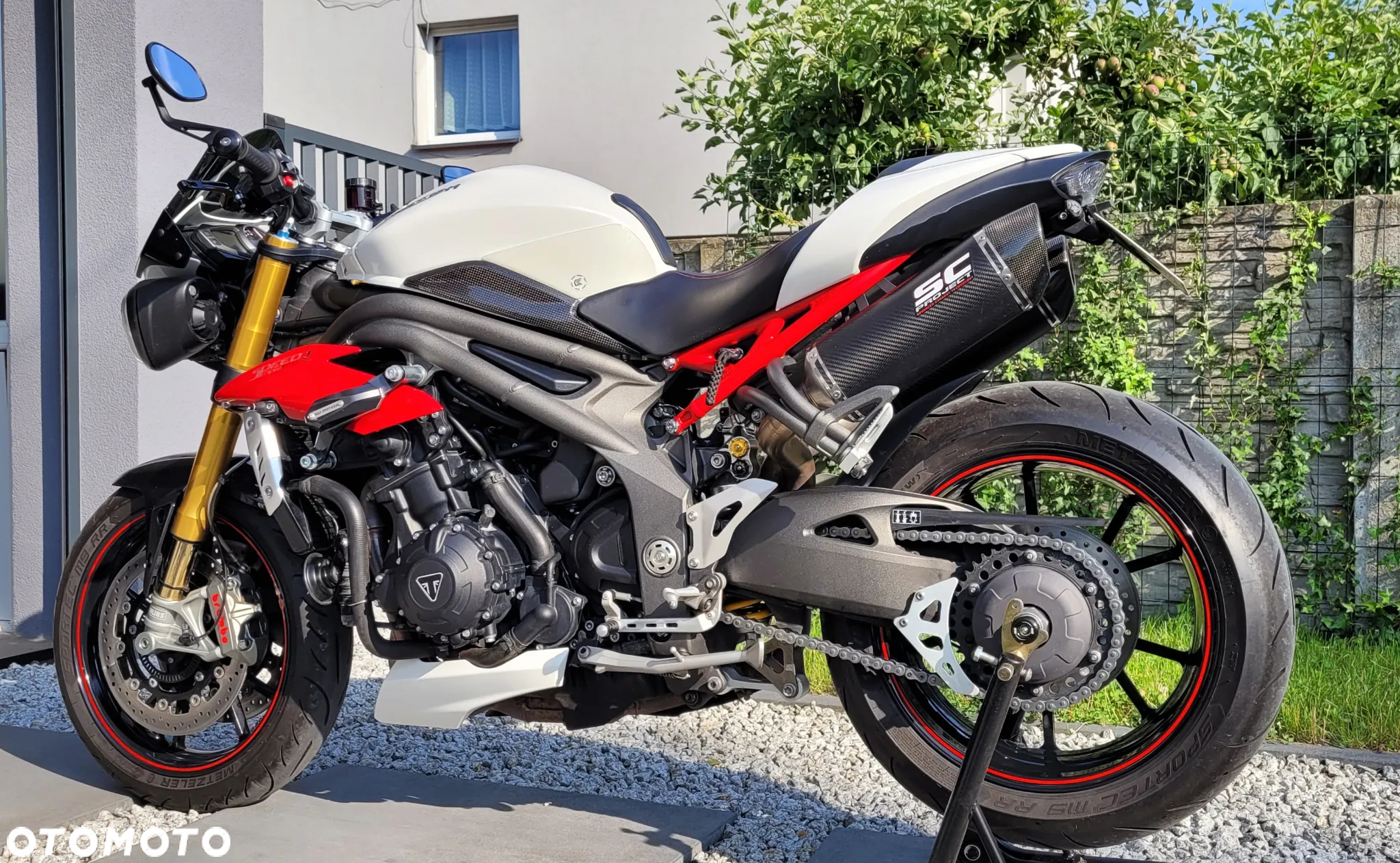 Triumph Speed Triple - 4