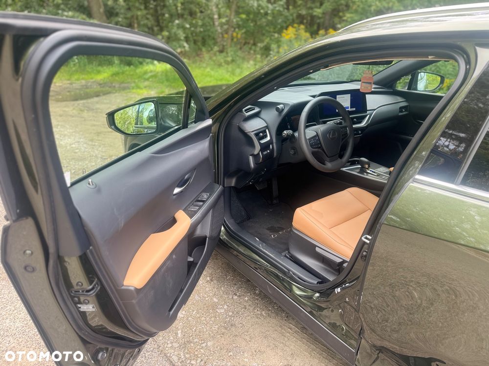 Lexus UX 300h F Sport AWD - 19