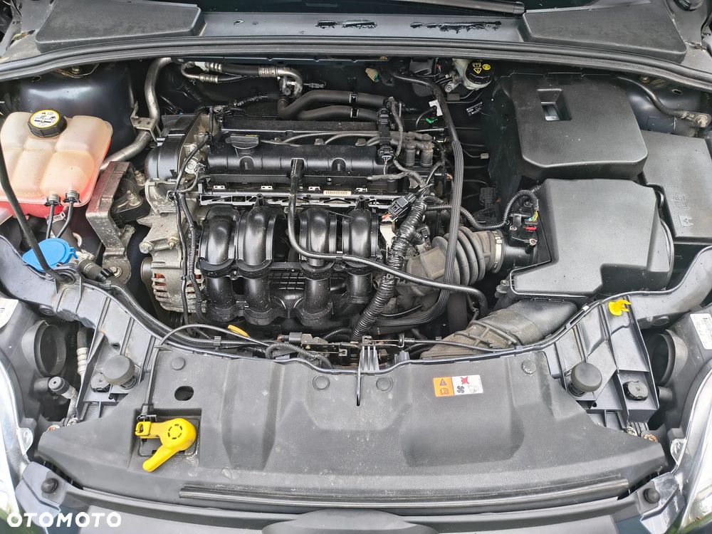 Ford Focus - 11