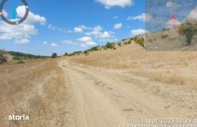 Teren extravilan Loc. Bucovat sat Sarbatoarea, jud. Dolj - Imagine principală: 3/6