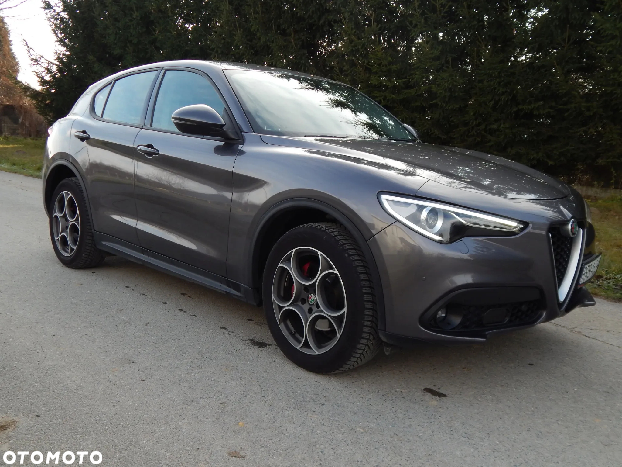 Alfa Romeo Stelvio 2.2 JTDM Q4 - 5