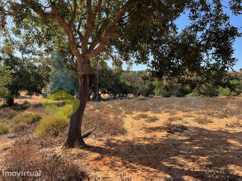 TERRENO RÚSTICO LOCALIZADO ZONA CAMPESTRE A 5KM DAS PRAIAS - Grande imagem: 2/20