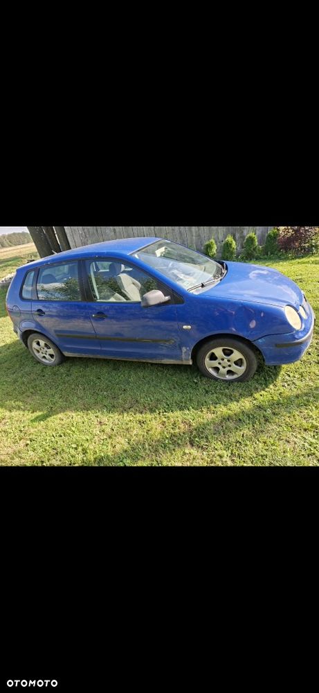 Volkswagen Polo - 2