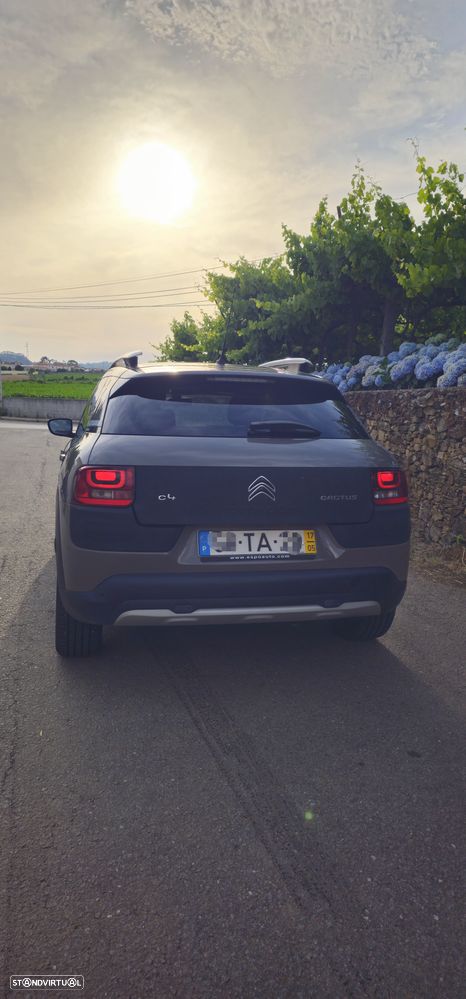 Citroën C4 Cactus 1.2 PureTech Rip Curl - 5