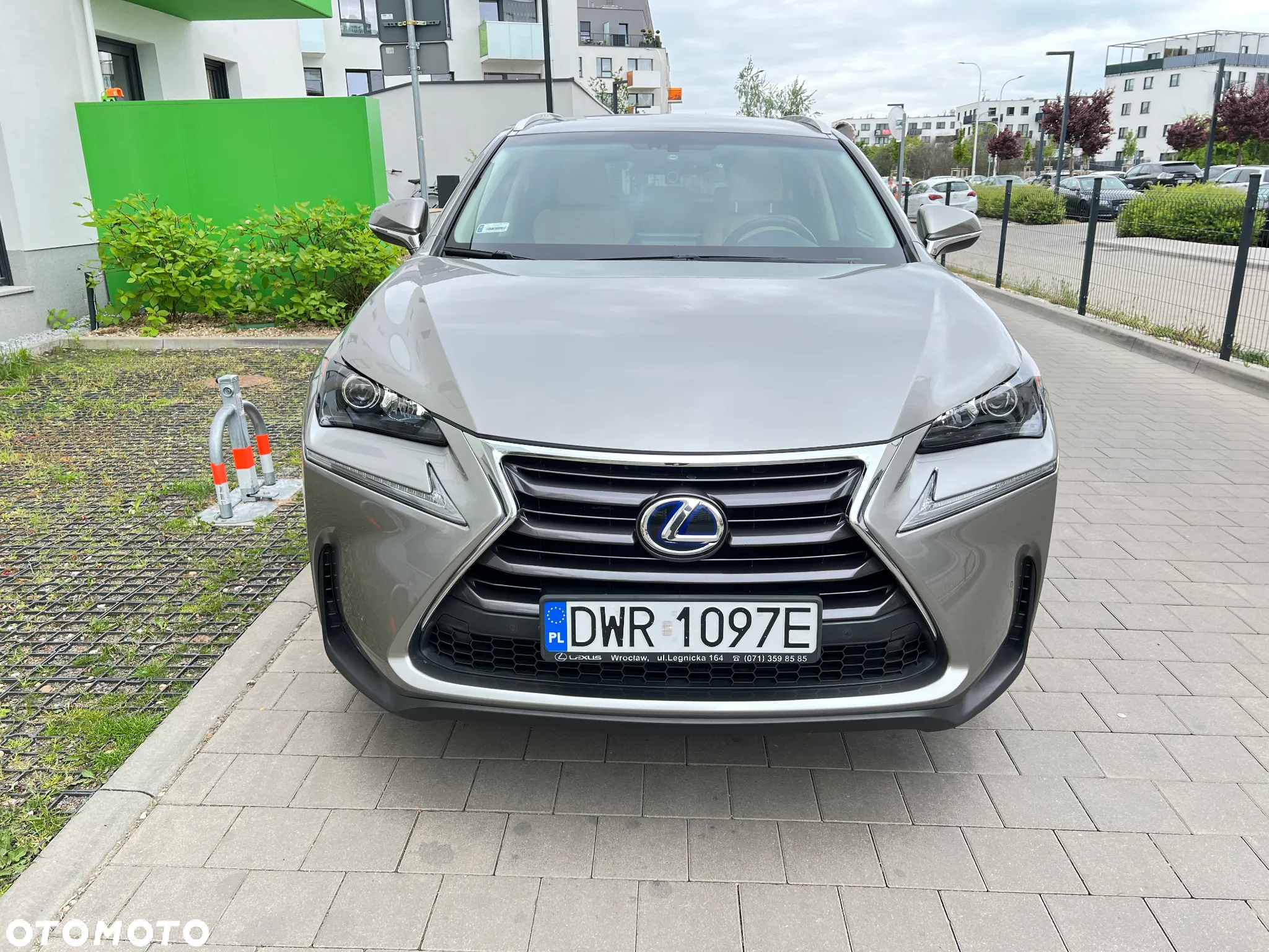 Lexus NX - 7