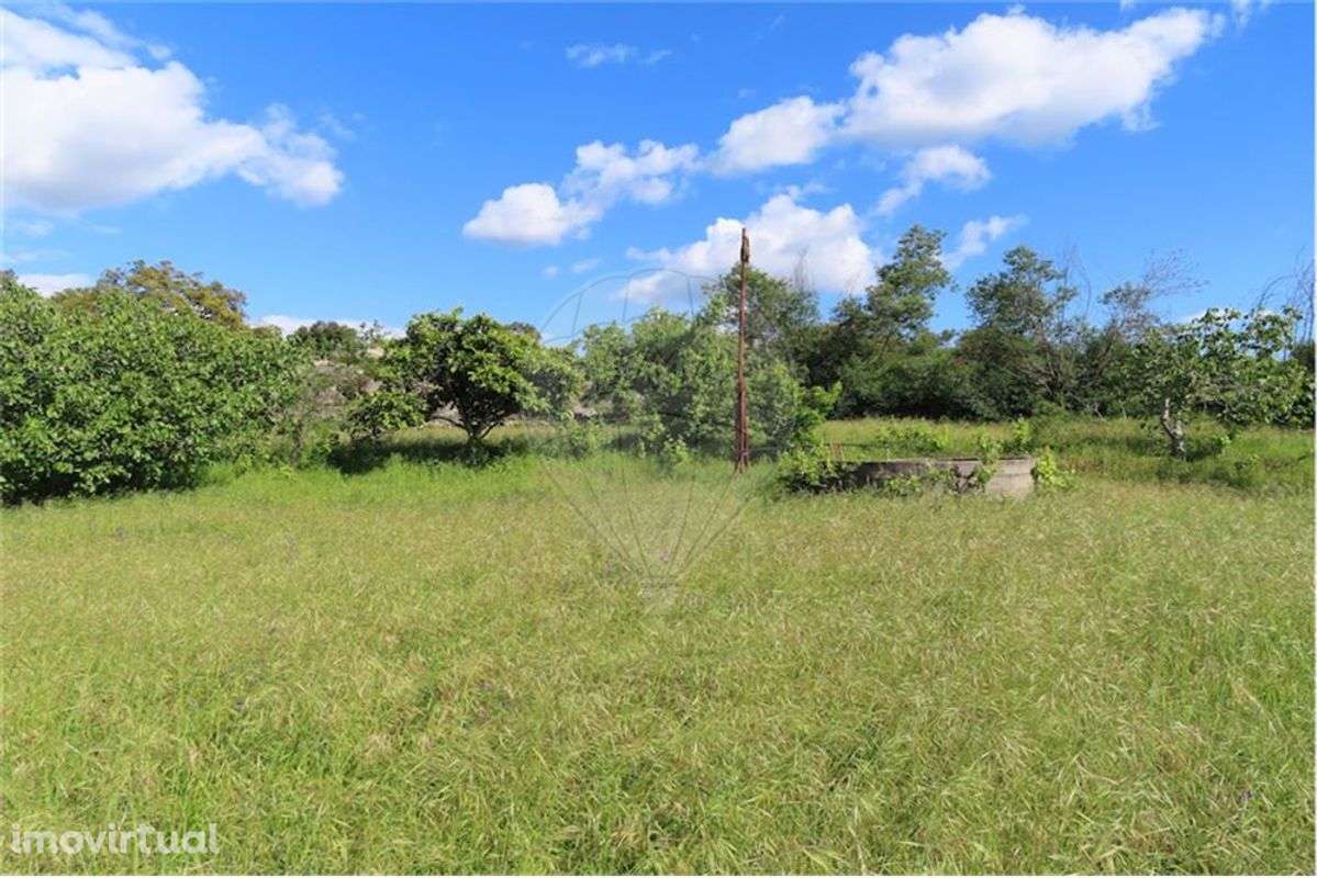 Quinta T0 para Venda - Grande imagem: 2/35