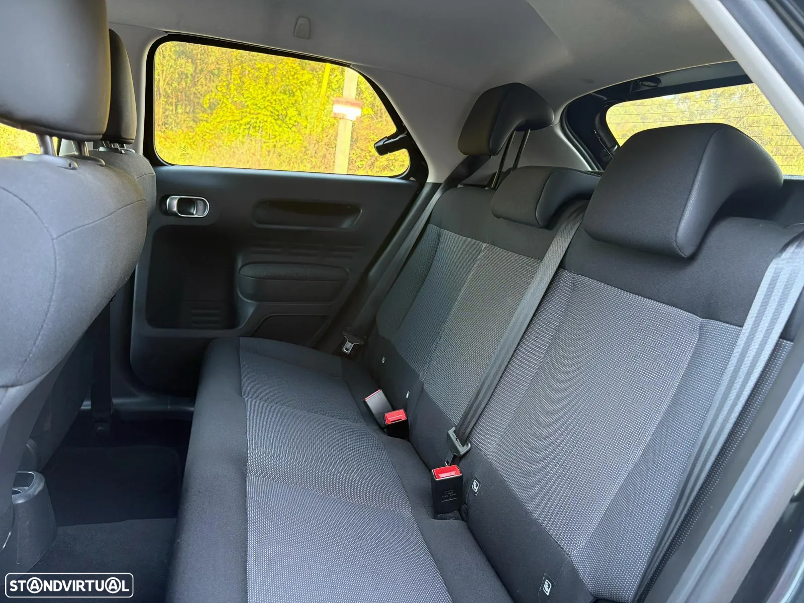 Citroën C4 Cactus 1.2 PureTech Shine - 20