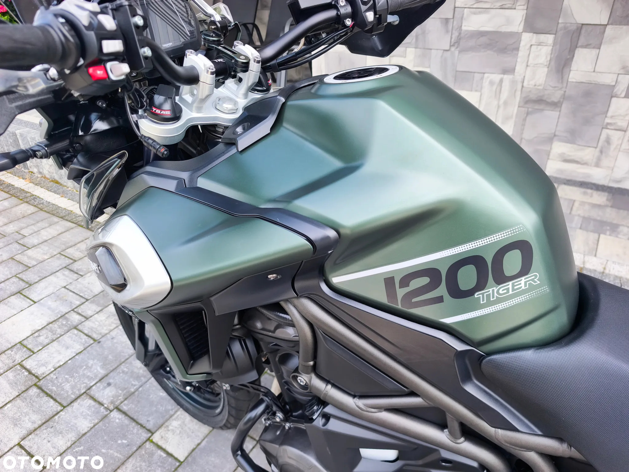 Triumph Tiger - 11