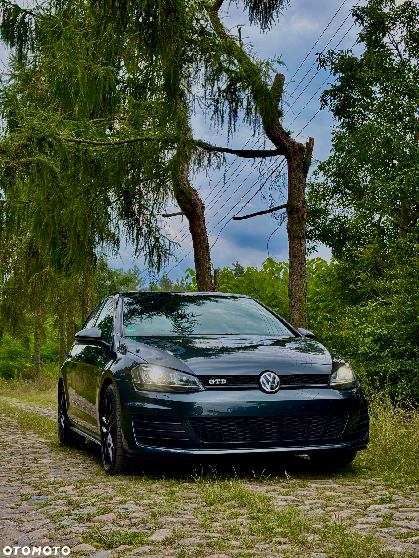Volkswagen Golf VII 2.0 TDI BMT GTD - 4