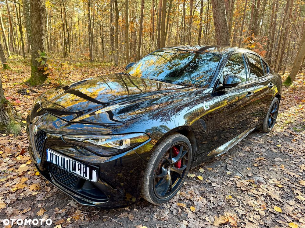 Alfa Romeo Giulia 2.9 V6 Bi-Turbo AT8 Quadrifoglio - 5
