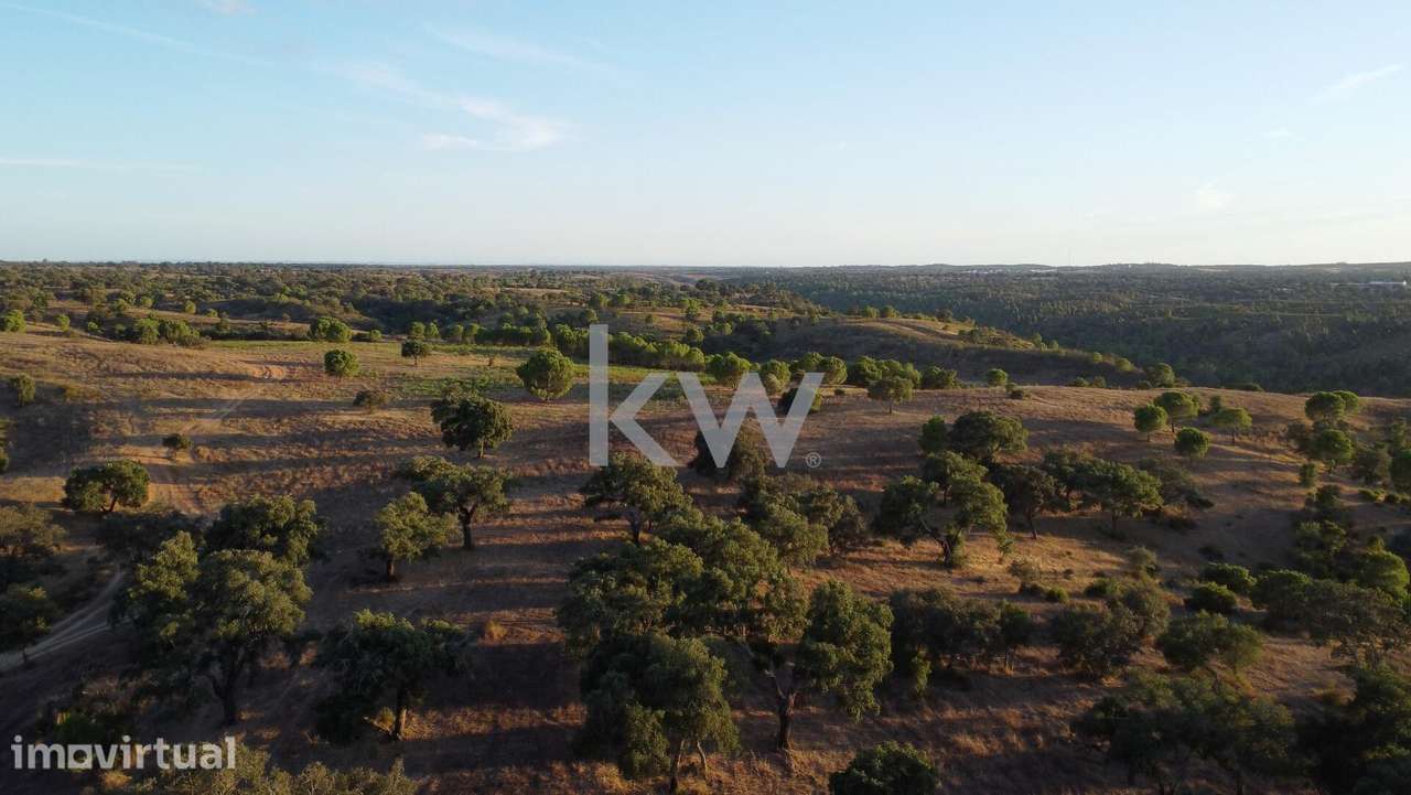 Refúgio Ideal no Alentejo: Investimento único com Potencial Agrícola e - Grande imagem: 4/23