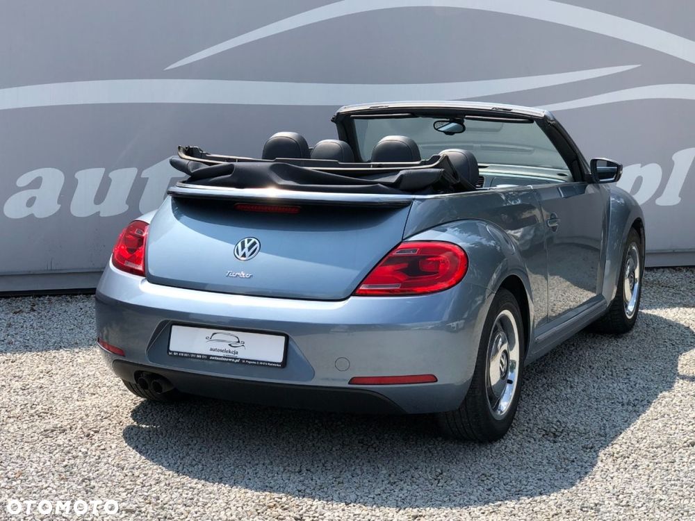 Volkswagen Beetle - 20