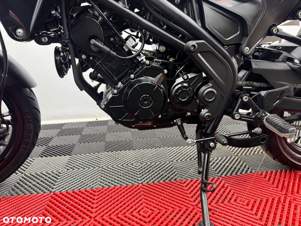 Benelli Leoncino - 14