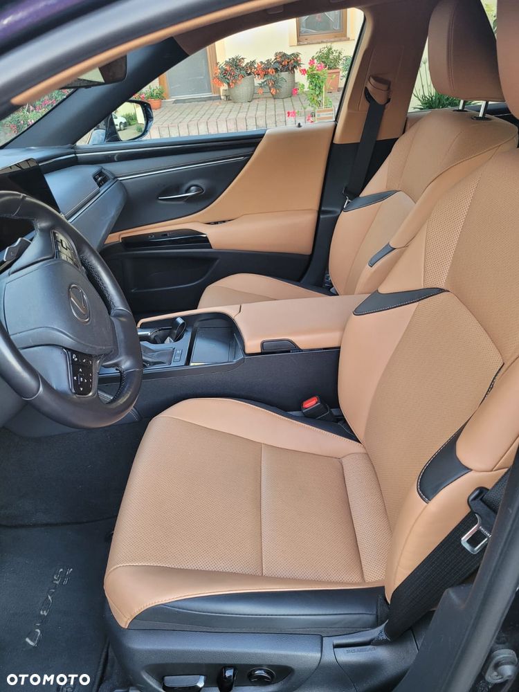Lexus ES 300h Business Edition - 9